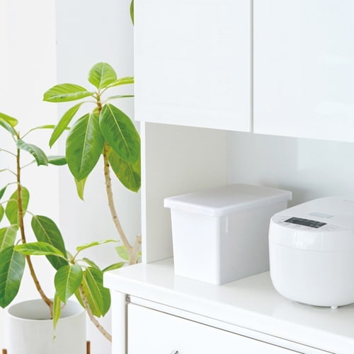 Ăт@U@rĂт@zCg