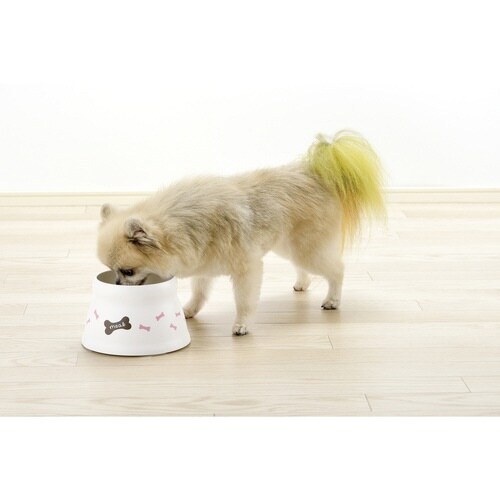 t[h{E@ڂɂ@rthbOfBbV