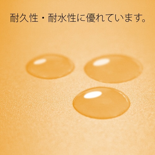 PPフラットファイル A3E