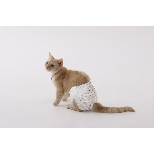 ペット用おむつ ピタフィット