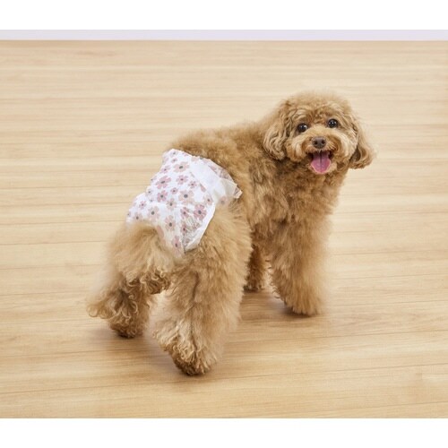 ペット用おむつ ピタフィット