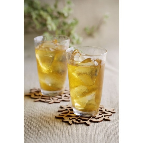 AGFプロフェッショナル スティック(1L用)