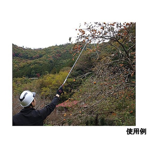 ���}���i�y�ʁE�̎�^�j