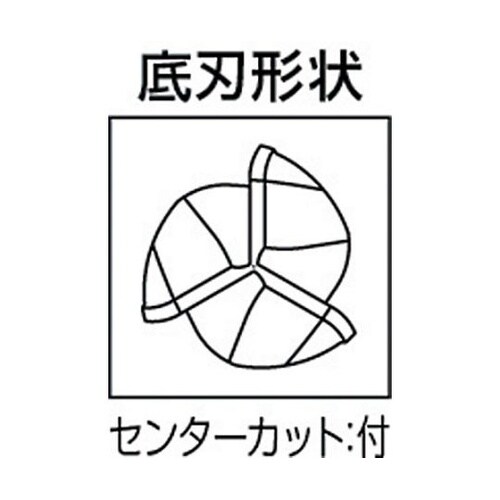 ���d���W�A�X�G���h�~���@�t�F�j�b�N�X