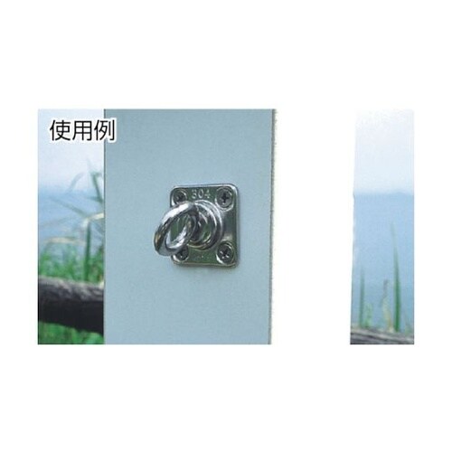 �X�e�����X��]�A�C�v���[�g