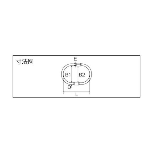 �X�e�����X�^�[���L���b�`