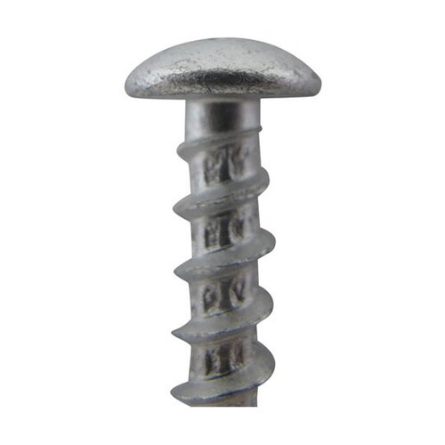 �G���r�X�@�S���X�p�[�g�@�g���X