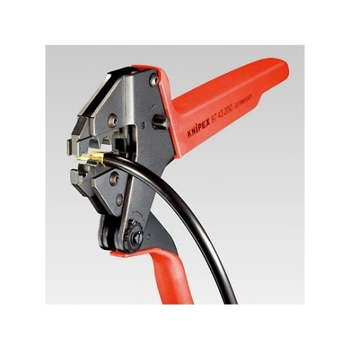 �����_�C�X