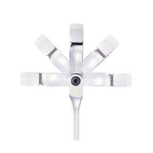 �X�C�x���M�A�����`