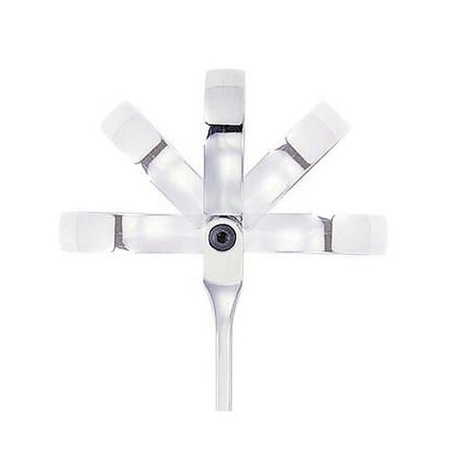 �X�C�x���M�A�����`