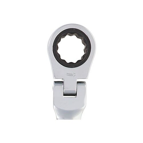 �s�q�f�[�P�V�e�@��U��M�A�R���r�����`