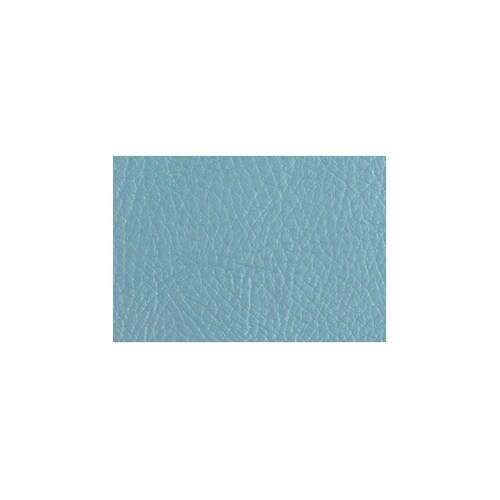 ���r�[�`�F�A�@�P�l�p�@�w�����@�O���[���@