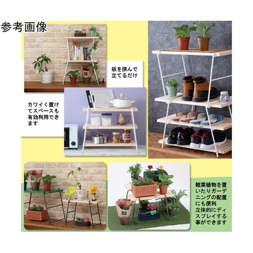 �A�C�A�����b�O�@�X�`�[���V�F���t�B�b�N�X