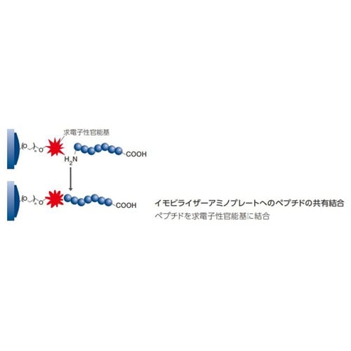 �C���r���C�U�[�A�~�m