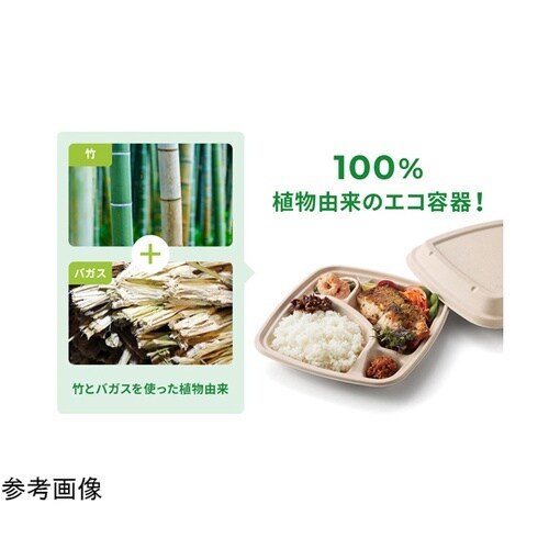 BB竹バガス 弁当容器