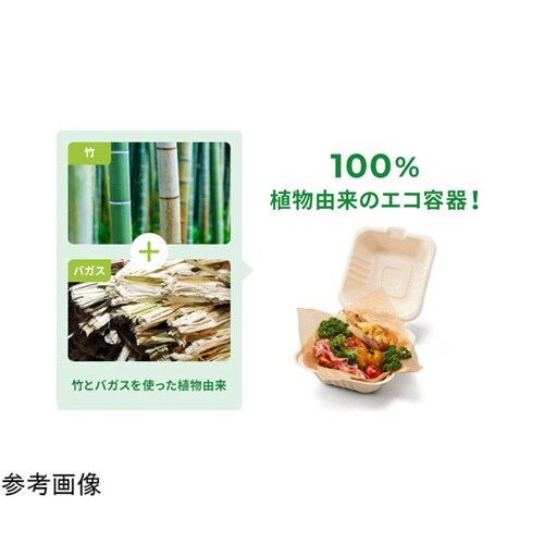 BB竹バガス ランチ