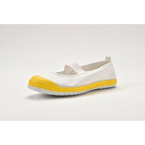 �w�Z�p�@�J���[�o���[�V���[�Y�@�C�G���[�@