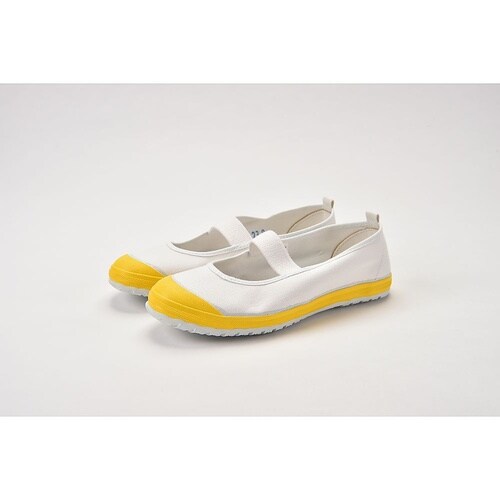 �w�Z�p�@�J���[�o���[�V���[�Y�@�C�G���[�@