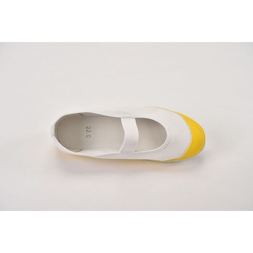 �w�Z�p�@�J���[�o���[�V���[�Y�@�C�G���[�@