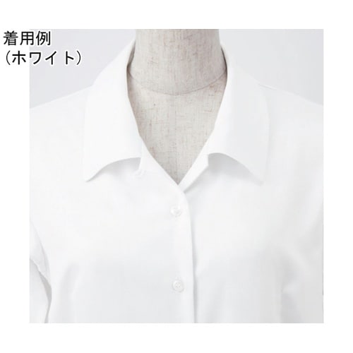 �d�m�i�n�x�@�������{���u���E�X�@�e�h�m�d�@�j�d�q�r�d�x