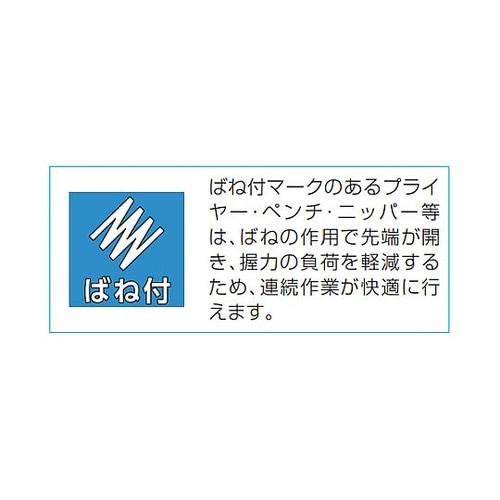 �����v���C���[