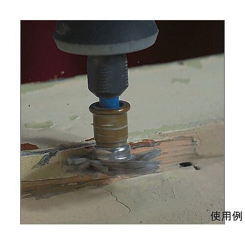 特殊樹脂ディスク