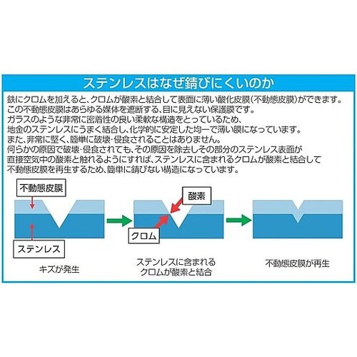 �m�o���������������n�h���C�o�[�i�X�e�����X���j