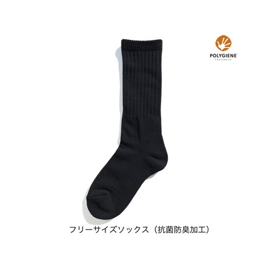 IRUI A プラス Tシャツサイズ