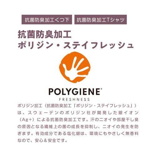 �h�q�t�h�@�`�@�y�A�@�s�V���c�T�C�Y