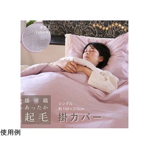 �d�B�D���������N�ъ|�J�o�[