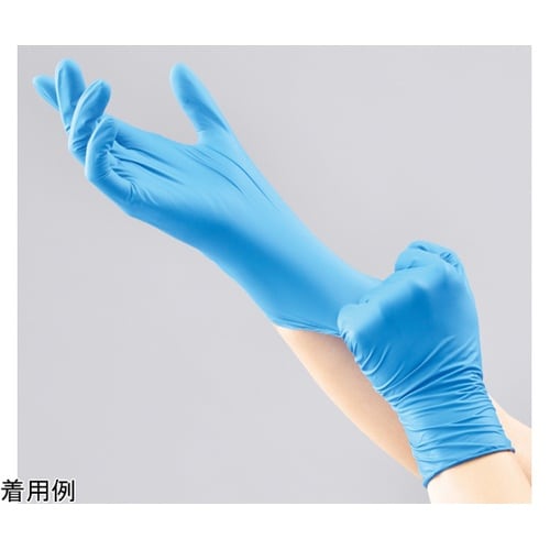 �j�g�����g���C�T�@�p�E�_�[�t���[