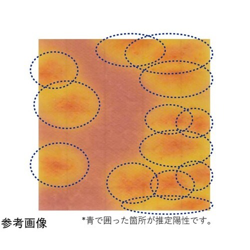 lb|l@o@da@׋ۉȋیQp