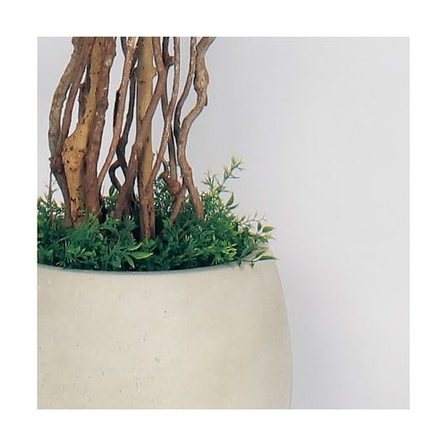 樹木プランター