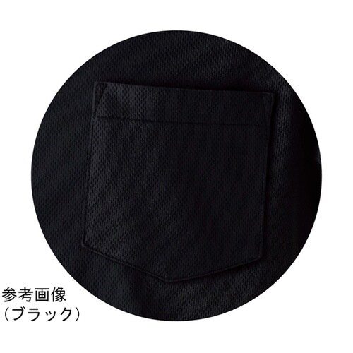 DRY600 ドライタッチボタンダウン ホワイト