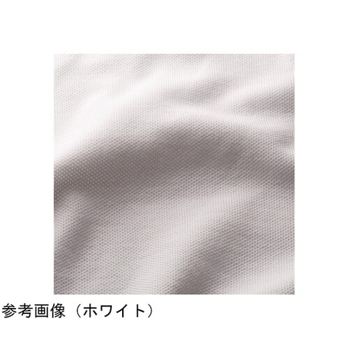 �r�k�x�S�O�Q�@�ȍ������|�P�t�|���@�T�b�N�X