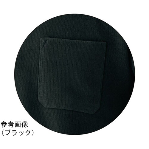 �r�k�x�W�O�S�k�@�ȍ������|�P�t�|���@�I�����W