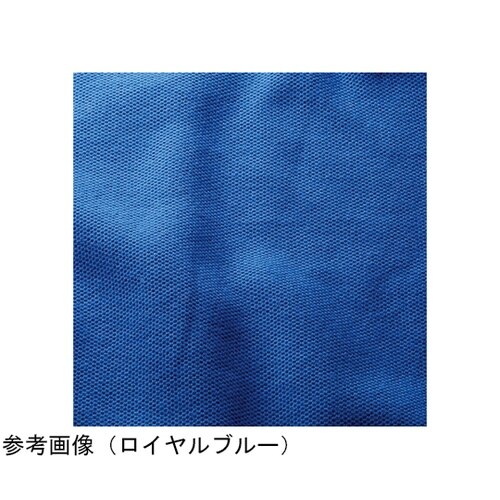 �m�d�n�R�Q�P�r�@�ȂP�O�O���傤���񑳃|���@�O���[