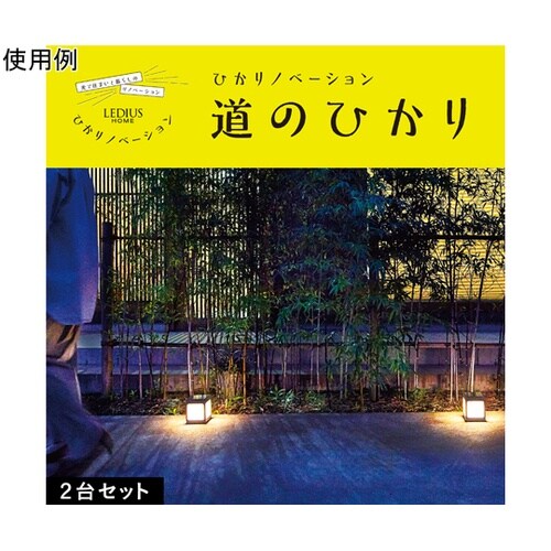 ひかりノベーション SUNCHARGE 花のひかり