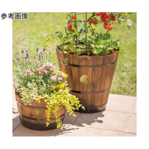 �E�b�h�o�����v�����^�[