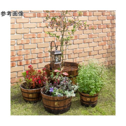 �E�b�h�o�����v�����^�[