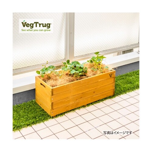 �x�W�e���X�v�����^�[