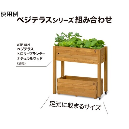 �x�W�e���X�v�����^�[