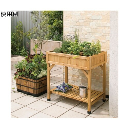 ���C�Y�h�x�b�h�@�n�[�u�v�����^�[