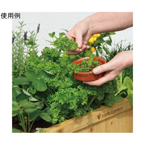 ���C�Y�h�x�b�h�@�n�[�u�v�����^�[