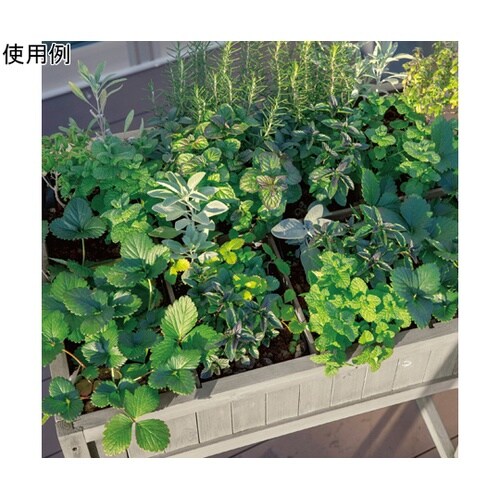 ���C�Y�h�x�b�h�@�n�[�u�v�����^�[