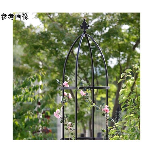 �f�|�����������@�I�x���X�N