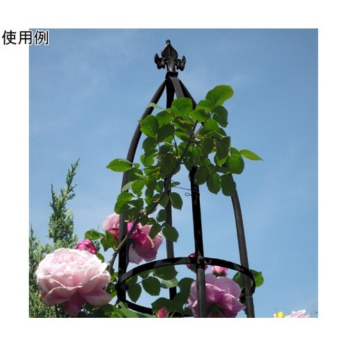 �f�|�����������@�I�x���X�N