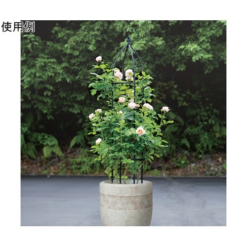 �f�|�����������@�I�x���X�N