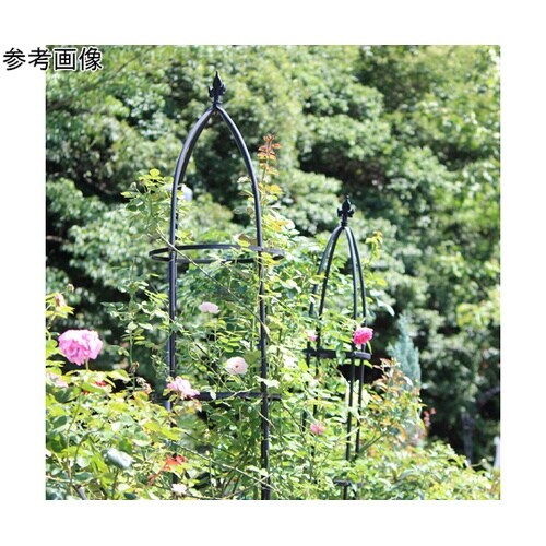 �f�|�����������@�I�x���X�N