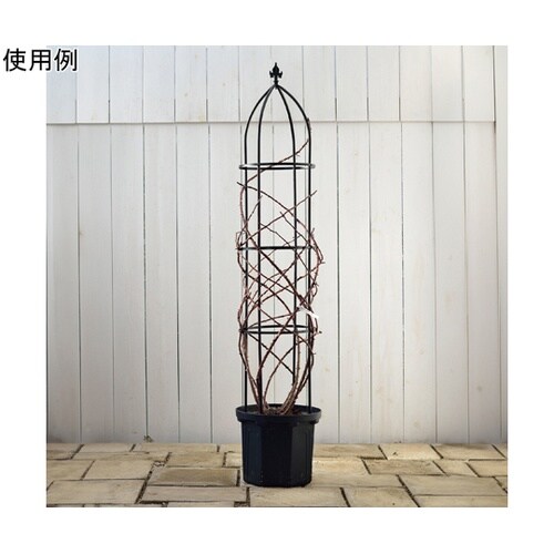 �f�|�����������@�I�x���X�N